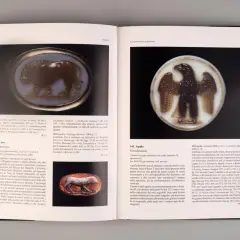 Cammei federiciani: un cane e un'aquila, esempi della produzione glittica romana. Il significato della glittica è nella sua arte e storia.