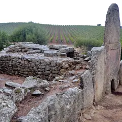 Antiche tombe dei giganti in pietra, con un vigneto sullo sfondo.