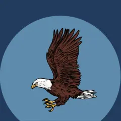 Aquila in volo, artigli pronti. La leggenda dell'aquila è vera? Un simbolo di forza che domina il cielo.