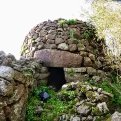 Antico pozzo sacro di Perfugas, con ingresso in pietra e vegetazione rigogliosa.