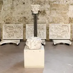 Sculture in pietra bianca, tra cui leoni stilofori e rilievi narrativi, forse frammenti di un antico pergamo, evocano un profondo significato storico e artistico.