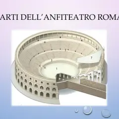 Sezione di un anfiteatro romano che illustra la sua struttura interna, con aree numerate per identificare le diverse parti.