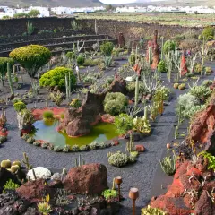 Giardino di cactus, un'oasi creata da César Manrique, dove la sua vita privata si fonde con la natura vulcanica.