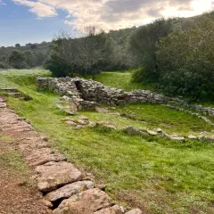 Antico pozzo sacro sa testa, con sentiero in pietra e vegetazione rigogliosa.