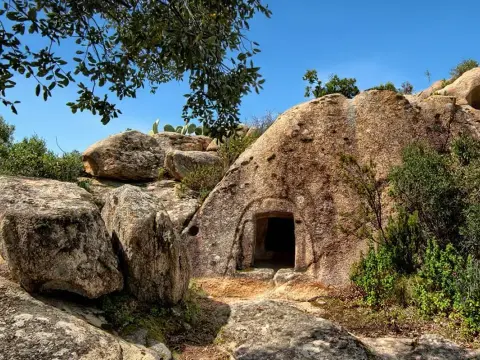 Domus de Janas - Non solo tombe: guida all'archeologia sarda