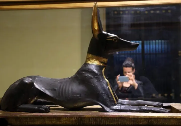 Statua di Anubi, dio egizio dalla testa di sciacallo, con dettagli dorati. Riflessa nello specchio, una persona scatta una foto.