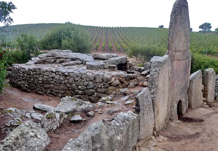 Antiche tombe dei giganti in pietra, con un vigneto sullo sfondo.