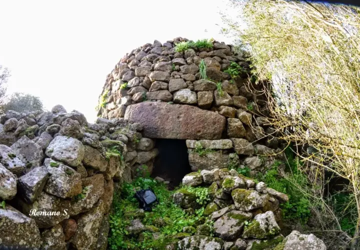 Antico pozzo sacro di Perfugas, con ingresso in pietra e vegetazione rigogliosa.