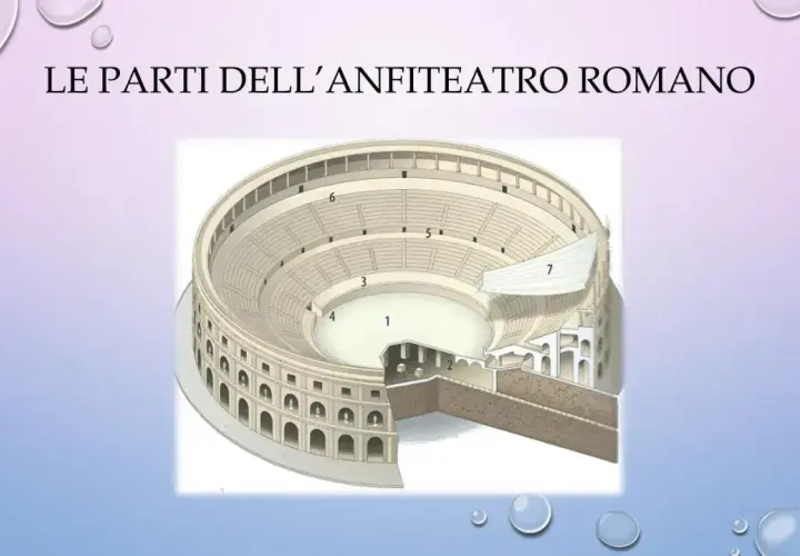 Sezione di un anfiteatro romano che illustra la sua struttura interna, con aree numerate per identificare le diverse parti.