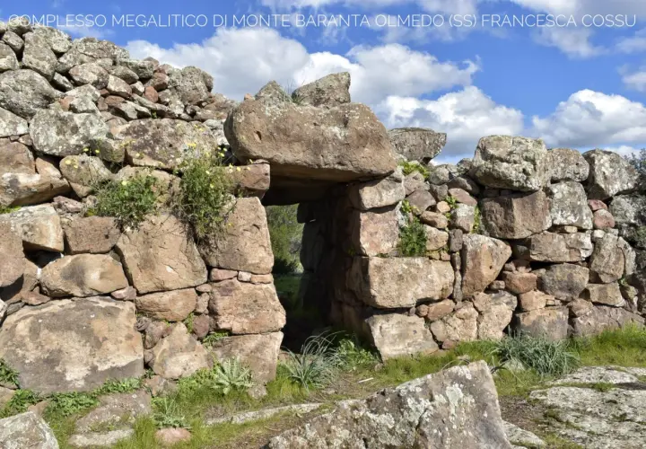 Antica porta in pietra del complesso megalitico di Monte Baranta, con vegetazione che cresce tra le rocce.