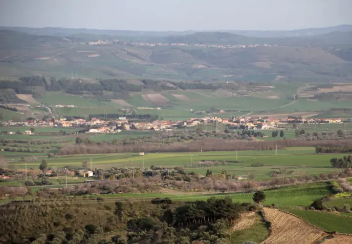 Paesaggio collinare con campi coltivati e case sparse, in lontananza si intravede il borgo di Pauli Arbarei, Sardegna.