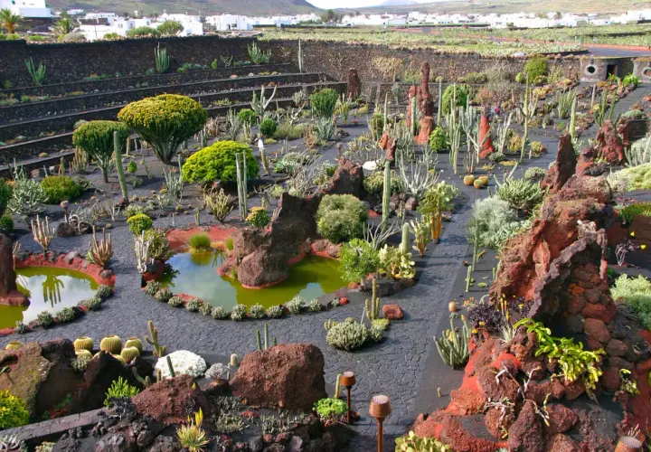 Giardino di cactus, un'oasi creata da César Manrique, dove la sua vita privata si fonde con la natura vulcanica.