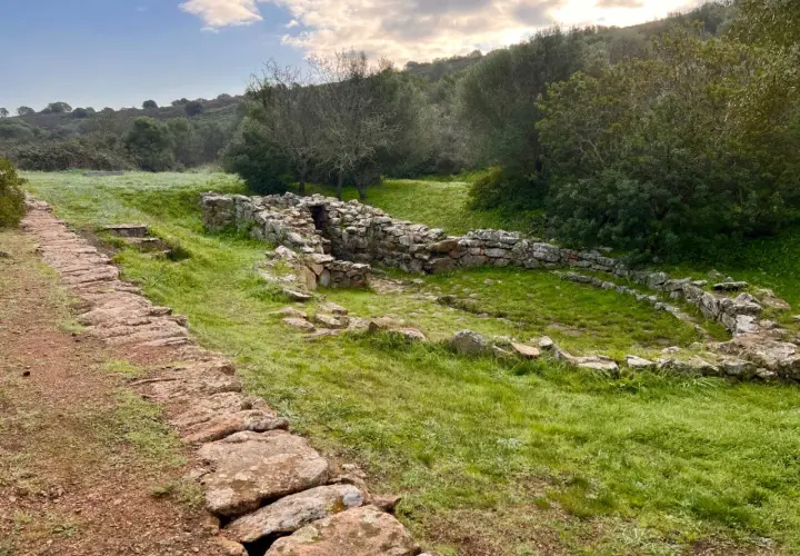Antico pozzo sacro sa testa, con sentiero in pietra e vegetazione rigogliosa.