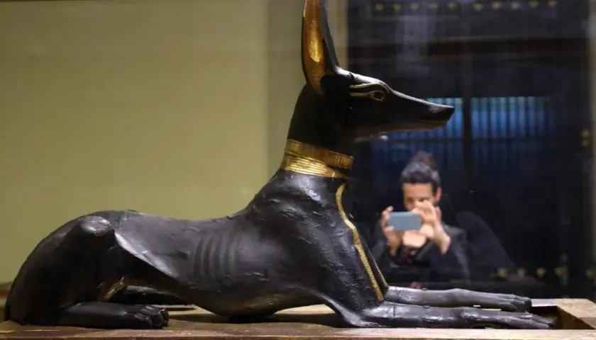Statua di Anubi, dio egizio dalla testa di sciacallo, con dettagli dorati. Riflessa nello specchio, una persona scatta una foto.