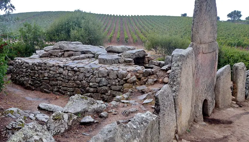 Antiche tombe dei giganti in pietra, con un vigneto sullo sfondo.