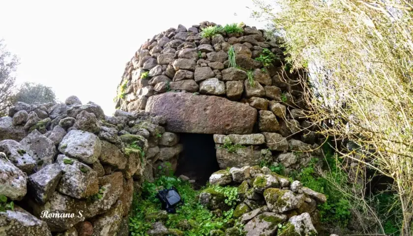 Antico pozzo sacro di Perfugas, con ingresso in pietra e vegetazione rigogliosa.