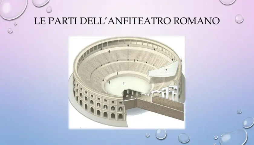Sezione di un anfiteatro romano che illustra la sua struttura interna, con aree numerate per identificare le diverse parti.