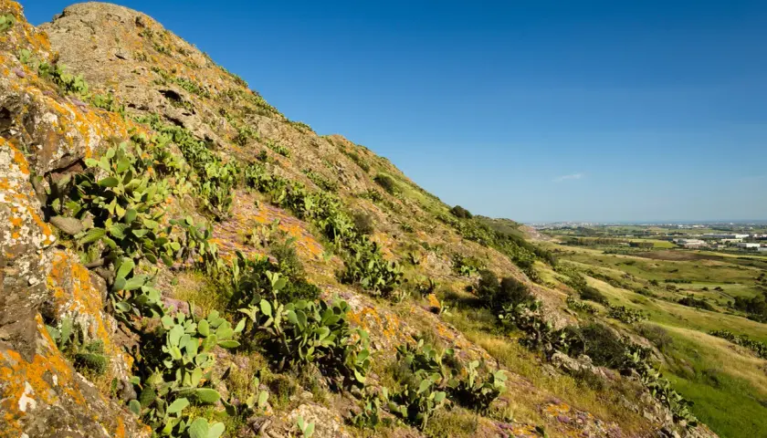 Pendii rocciosi del monte Zara ricoperti di fichi d'India e fiori viola, con un paesaggio verde e un cielo azzurro sullo sfondo.