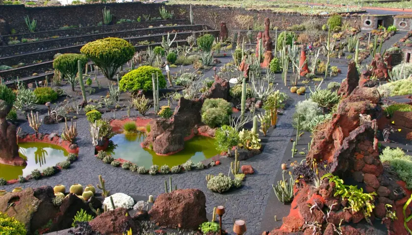 Giardino di cactus, un'oasi creata da César Manrique, dove la sua vita privata si fonde con la natura vulcanica.