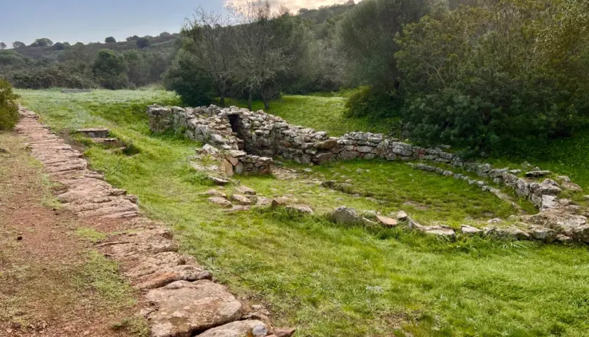 Antico pozzo sacro sa testa, con sentiero in pietra e vegetazione rigogliosa.