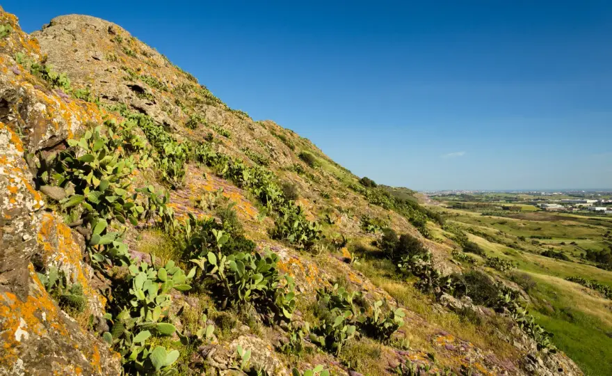 Monte Zara - Un colle, millenni di storia: scopri il suo valore