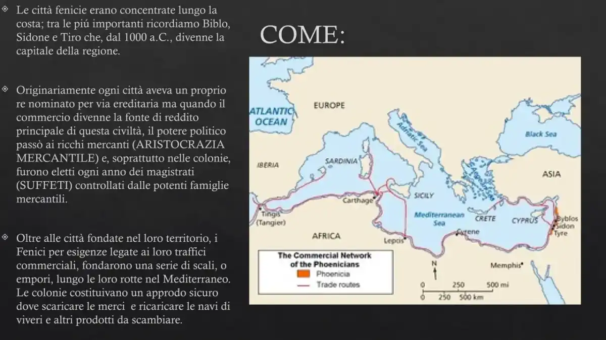 Chi erano i Fenici e perché cambiarono il Mediterraneo?