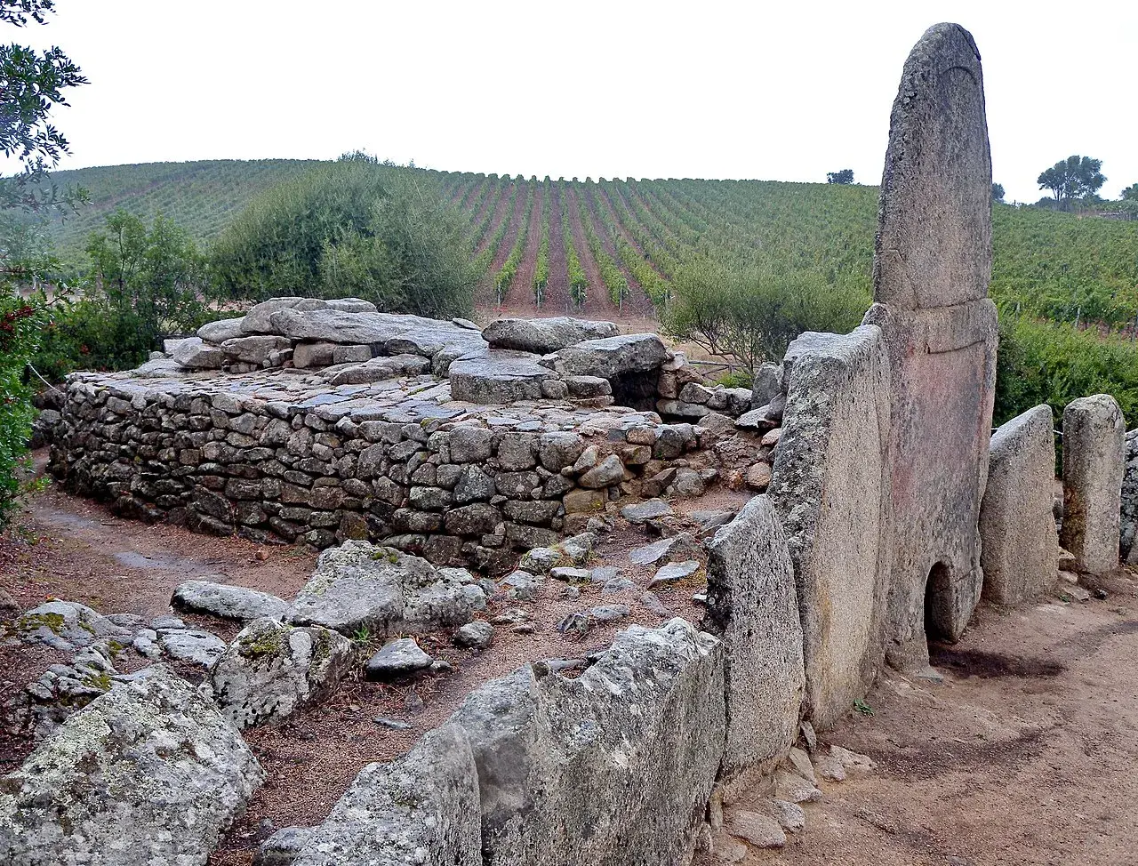 Antiche tombe dei giganti in pietra, con un vigneto sullo sfondo.