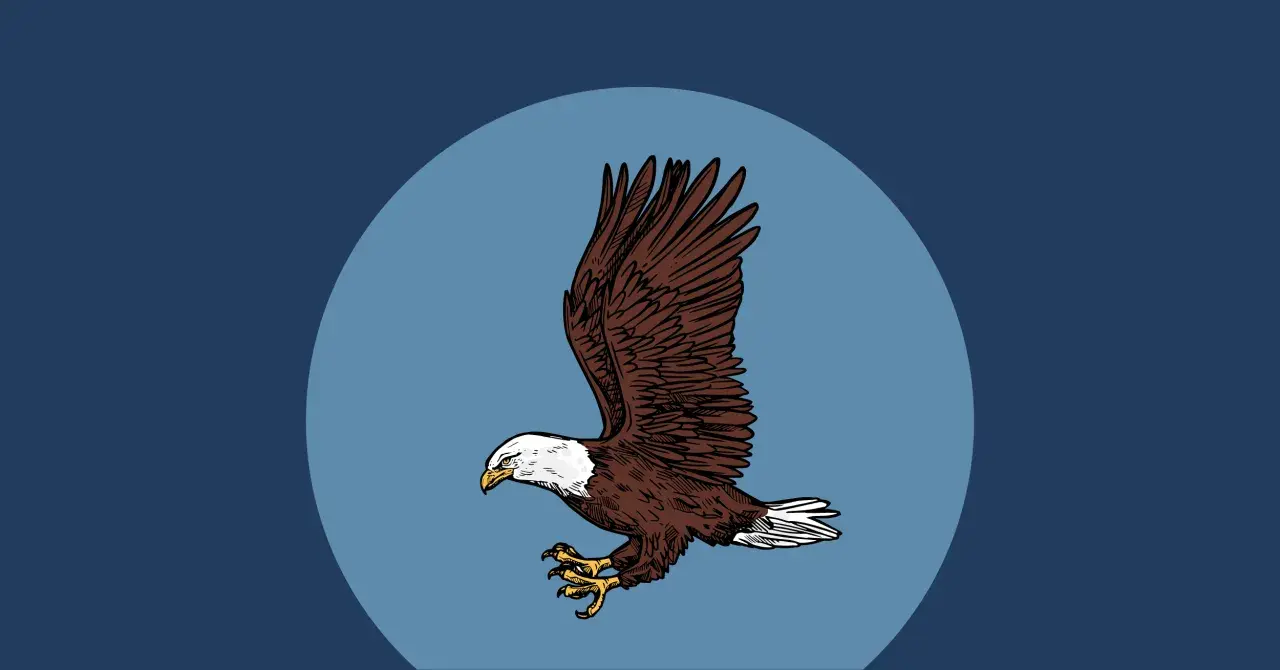 Aquila in volo, artigli pronti. La leggenda dell'aquila è vera? Un simbolo di forza che domina il cielo.