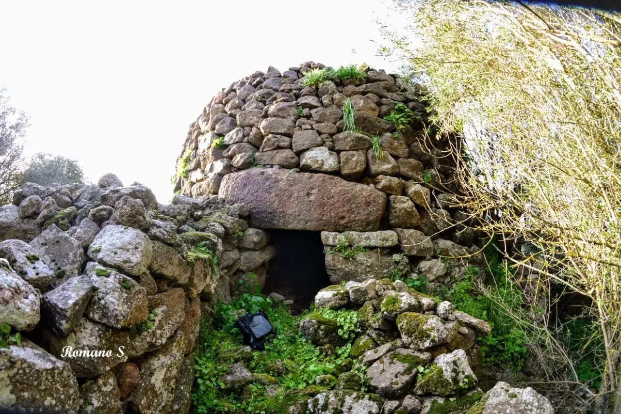 Antico pozzo sacro di Perfugas, con ingresso in pietra e vegetazione rigogliosa.