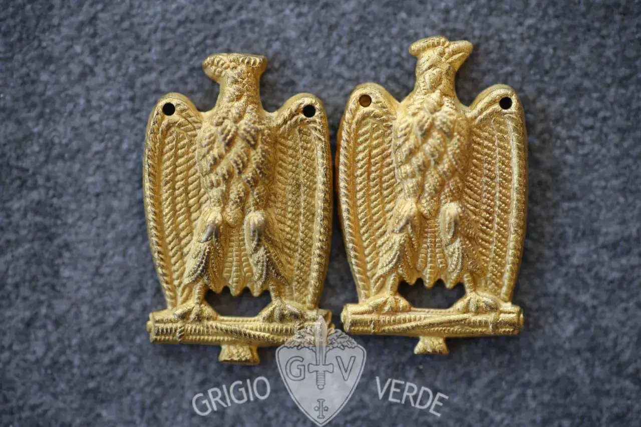 Due aquile dorate, simbolo di un'epoca, con dettagli finemente lavorati. Un'aquila fascista che evoca storia e memoria.