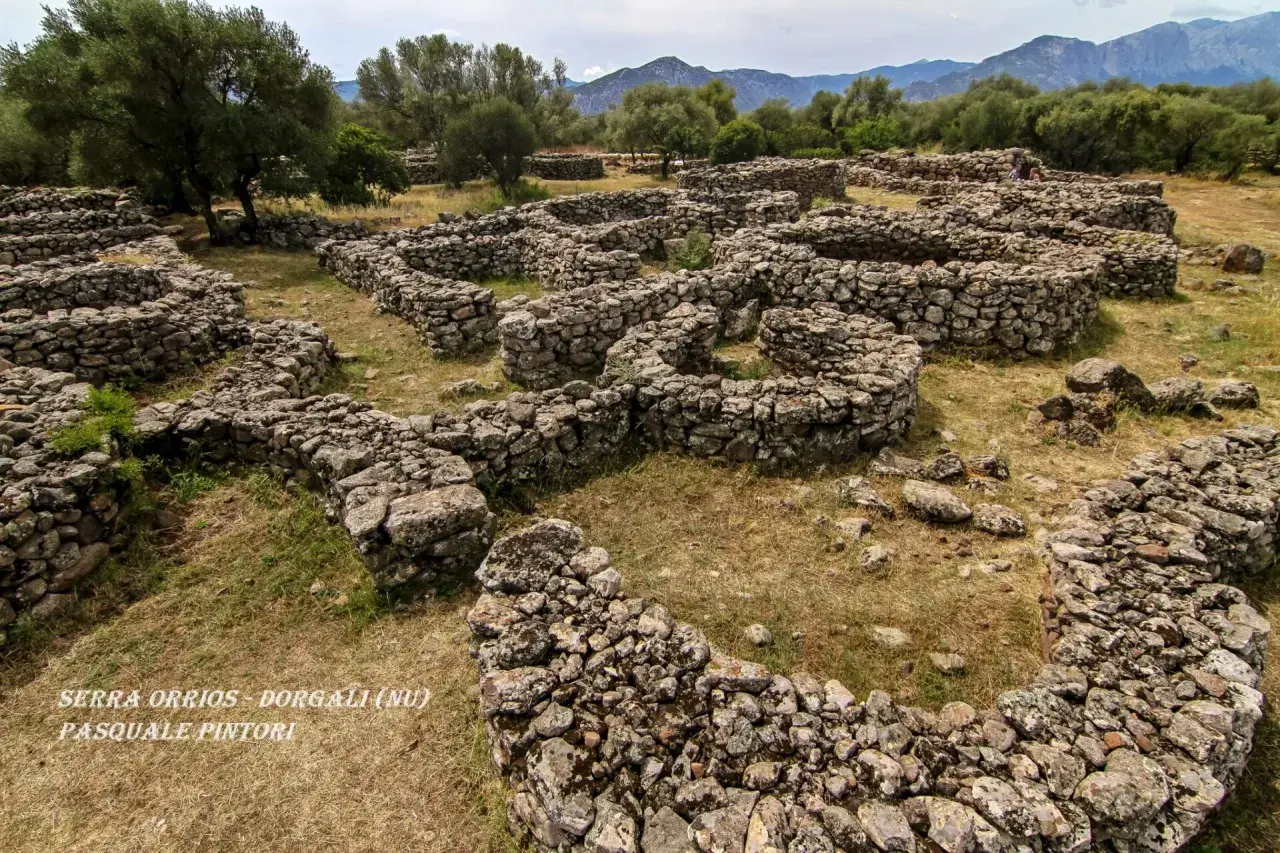 Rovine di antiche costruzioni in pietra a Serra Orrios, Dorgali. Muri circolari e rettangolari si snodano tra l'erba secca e gli ulivi.