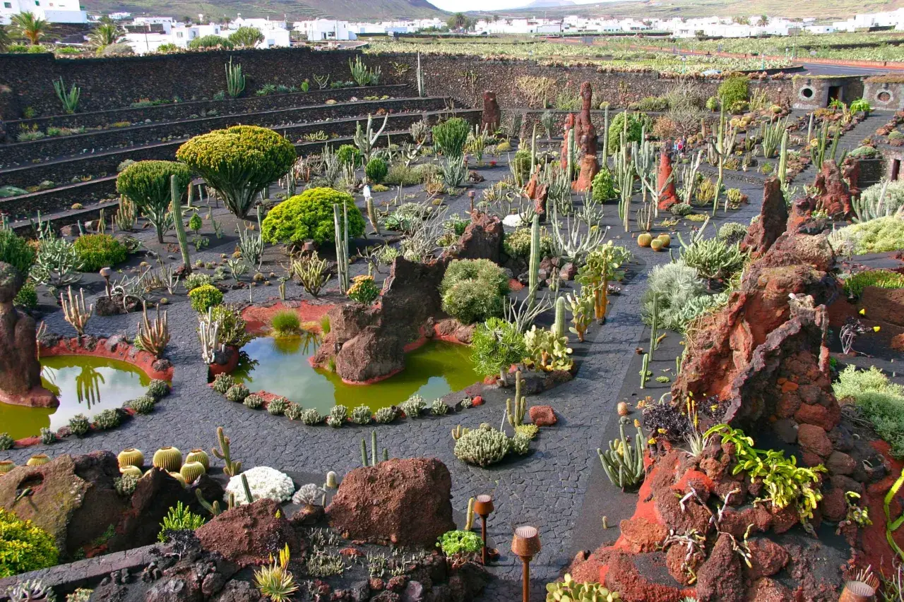Giardino di cactus, un'oasi creata da César Manrique, dove la sua vita privata si fonde con la natura vulcanica.