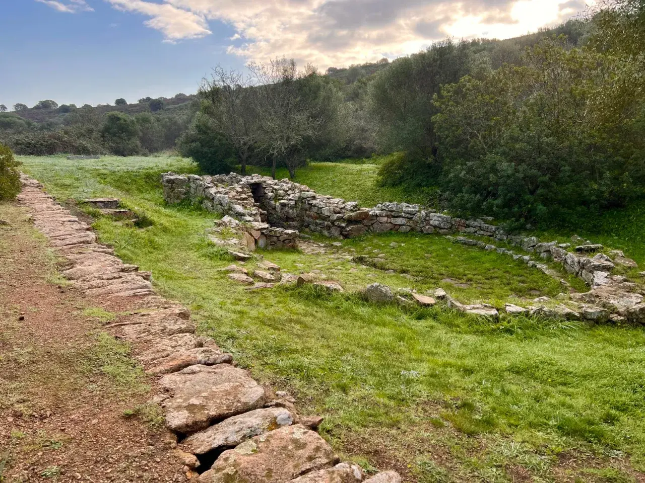Antico pozzo sacro sa testa, con sentiero in pietra e vegetazione rigogliosa.