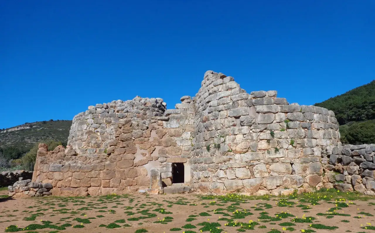 Il nuraghe Palmavera, con le sue imponenti mura di pietra grezza, si erge sotto un cielo azzurro intenso, circondato da una vegetazione rigogliosa.