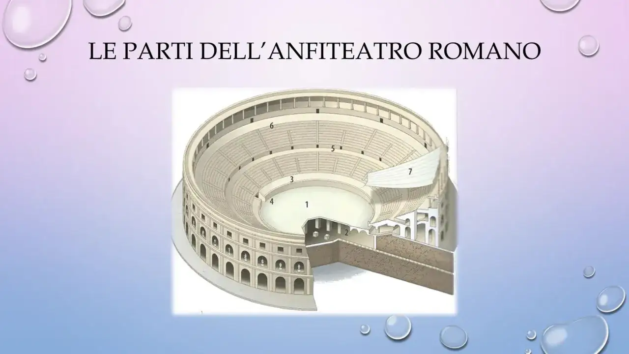 Sezione di un anfiteatro romano che illustra la sua struttura interna, con aree numerate per identificare le diverse parti.