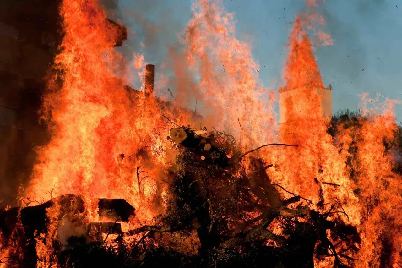 Fiamme arancioni danzano su un cumulo di legna. Un'immagine che evoca nomi che significano fuoco, come Ignazio o Fiamma, in un'esplosione di calore e luce.