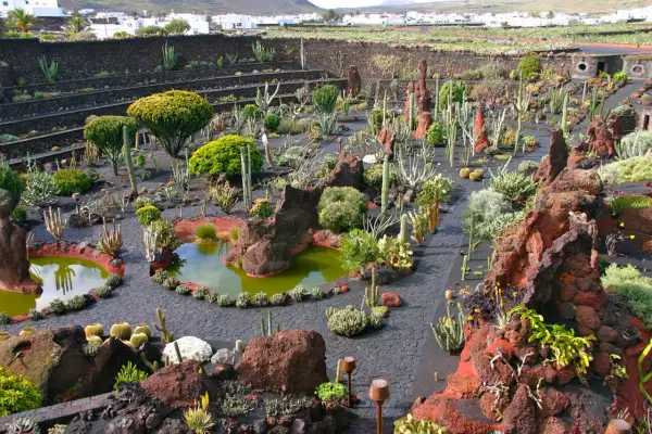 Giardino di cactus, un'oasi creata da César Manrique, dove la sua vita privata si fonde con la natura vulcanica.